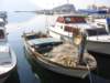 portbudva4_small.jpg