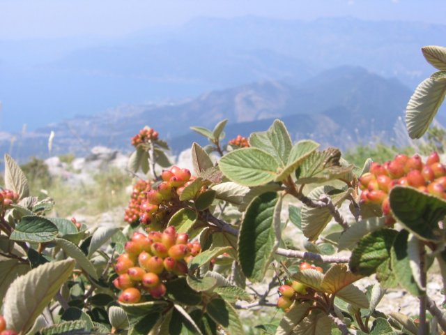 photo.jpg