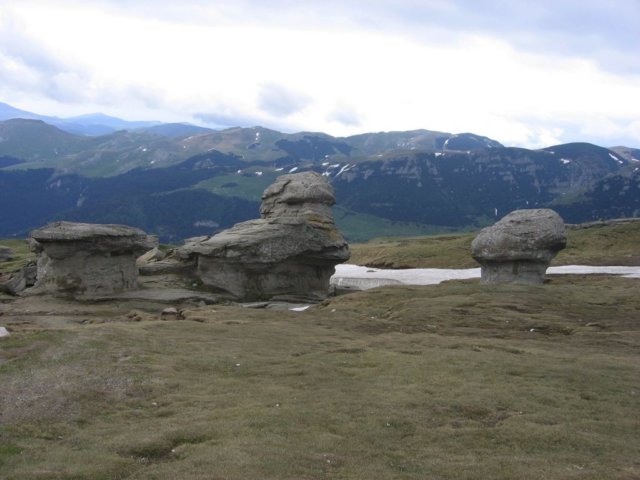 bucegi71a.jpg