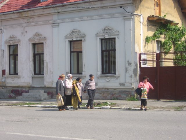 rasnov85a.jpg