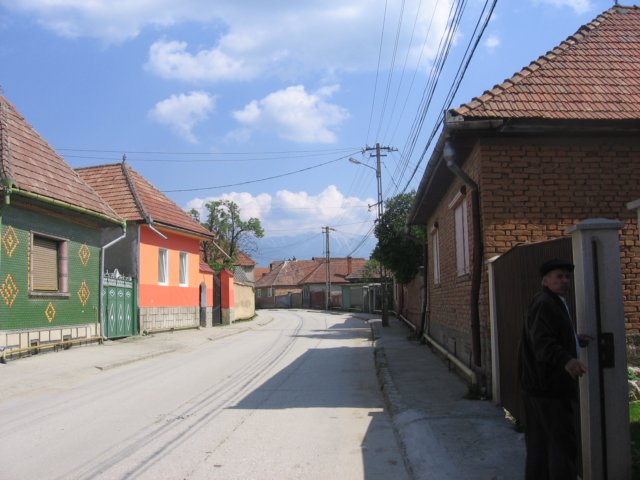 zarnesti74b.jpg