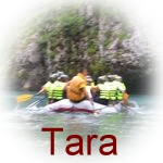 Tara - rafting